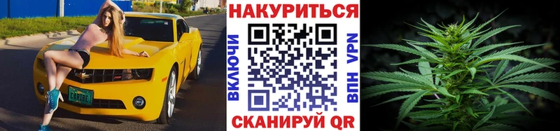 где купить наркоту  Тырныауз  blacksprut tor  Шишки марихуана Ganja 